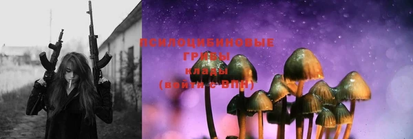 ПСИЛОЦИБИНОВЫЕ ГРИБЫ Алзамай