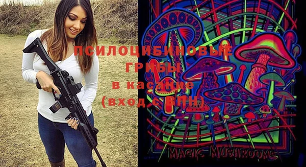 ПСИЛОЦИБИНОВЫЕ ГРИБЫ Алзамай
