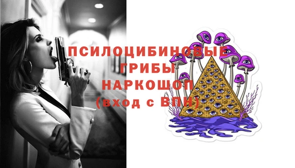 ПСИЛОЦИБИНОВЫЕ ГРИБЫ Алзамай