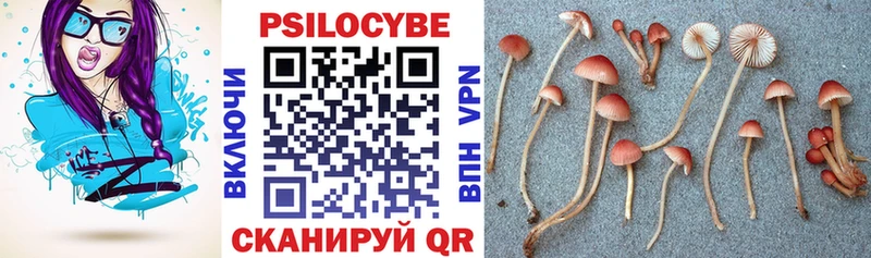Галлюциногенные грибы Magic Shrooms  маркетплейс телеграм  Калининск 